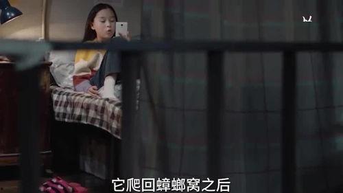 小孩爆料秘密视频,小孩意外曝光家庭秘密视频