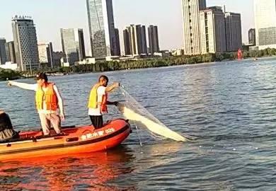 合肥天鹅湖最新爆料微博,揭秘湖畔新景观与生态变迁